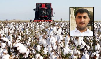Karadağ’dan pamuk açıklaması: ‘Çiftçiyi resmen öldürdüler’