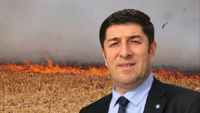 Akademisyen Öztürkmen’den ‘Anız’ uyarısı