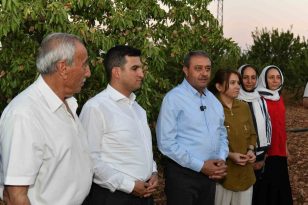 Urfa’da badem hasadı çiftçinin yüzünü güldürüyor